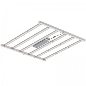 800W 4*4ft Πλήρες φάσμα Φάσμα Φάσμα Φάσμα Φωτισμού Φωτισμός για εσωτερικό θερμοκήπιο ή εμπορική καλλιέργεια LED Grow Light