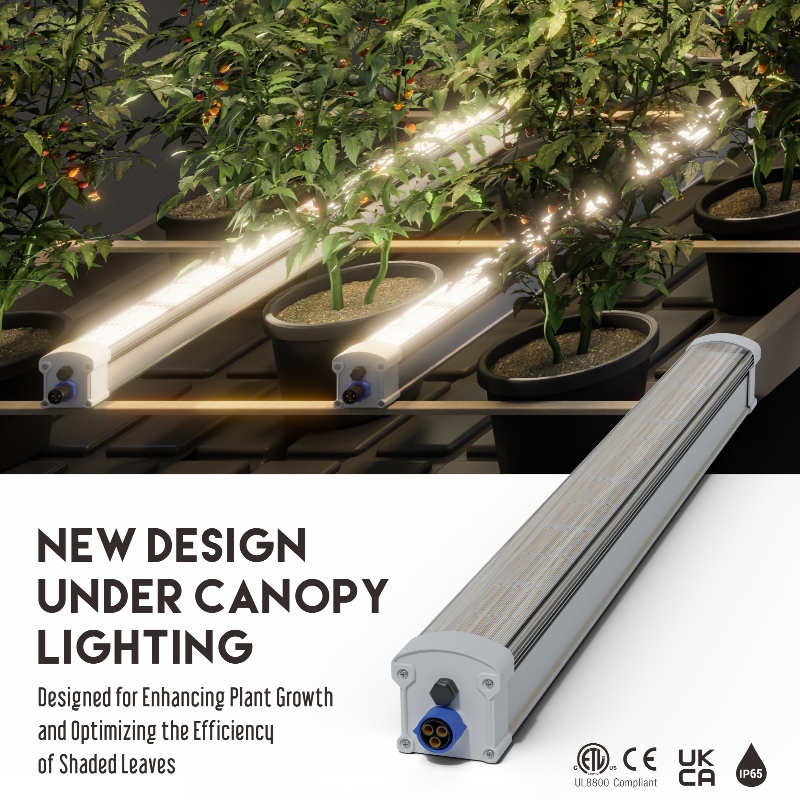 H1011 Under Canopy LED-1.jpg